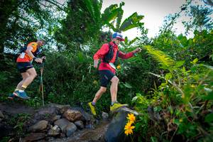 BIB: 
                            <button type="button" onclick="openModal(15974821)" class="btn btn-primary btn-sm float-right btn-popup" data-toggle="modal" data-target=".modal-high-quality">
                        <i class="fas fa-shopping-cart"></i> Add to Cart
                    </button>
                                            <button type="button" onclick="isThisMe(15974821, true)" class="btn btn-success btn-sm float-right btn-popup btn-isme hidden" data-toggle="tooltip" data-placement="bottom" title="นี่คือรูปของคุณใช่ไหม คลิกที่นี่เพื่อเอาเข้าอัลบั้ม">
                        <i class="fas fa-plus"></i> Add to album
                    </button>
                    <button type="button" onclick="isThisMe(15974821, false)" class="btn btn-warning btn-sm float-right btn-popup btn-isnotme hidden">
                        <i class="fas fa-ban"></i> Remove from album
                    </button>